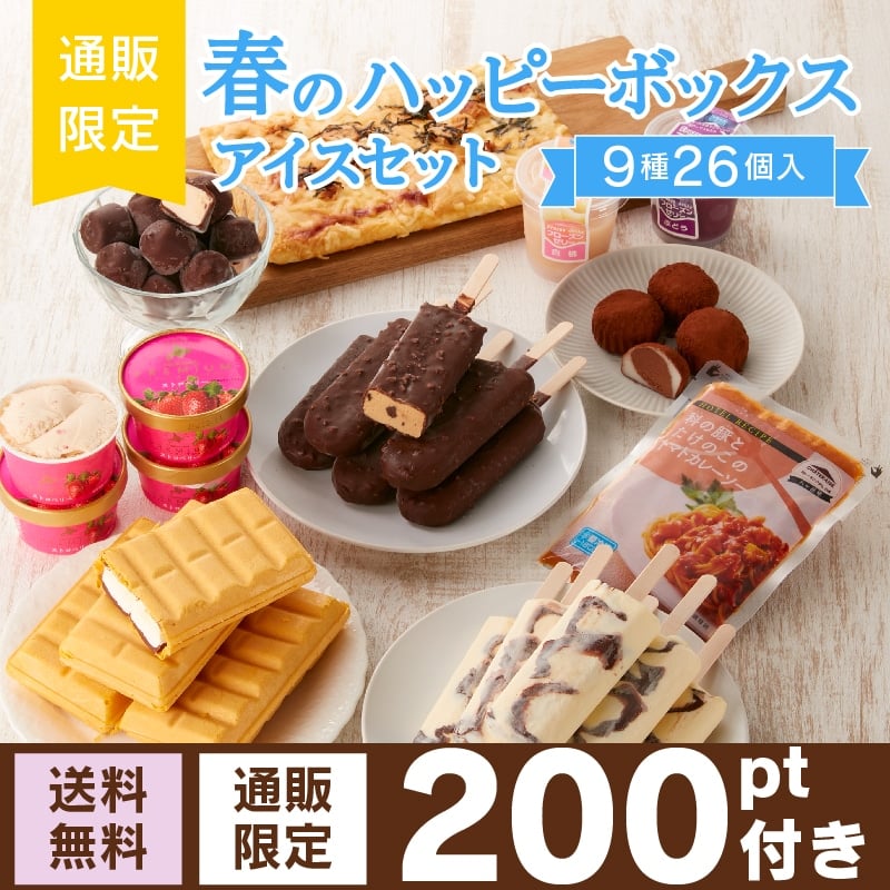 【通販】春のハッピーボックス アイスセット 9種26個（送料無料）